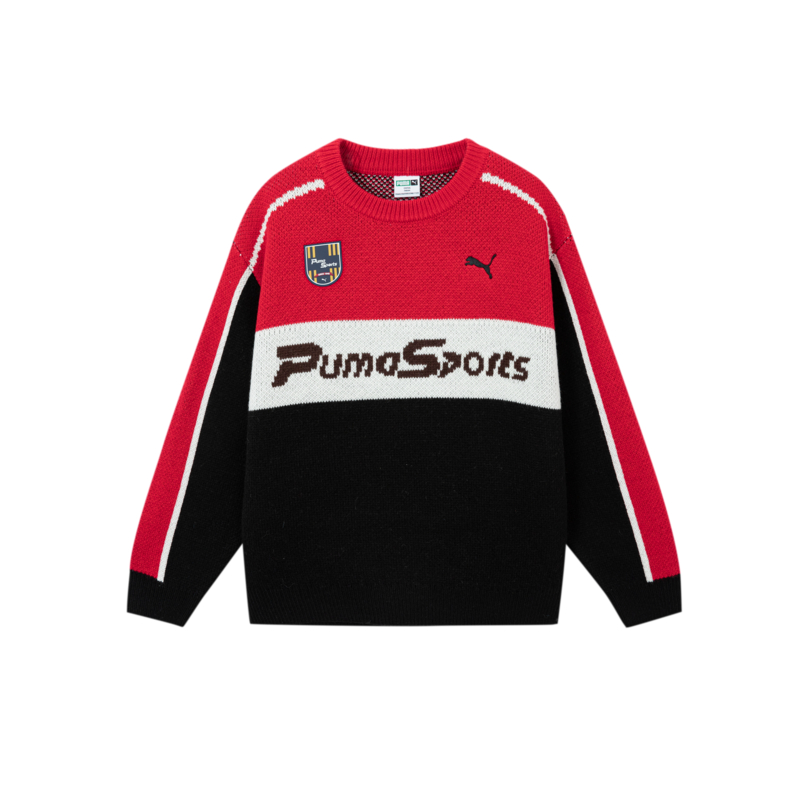 PUMA PUMA Kids Sweaters Crew Neck Moderate
