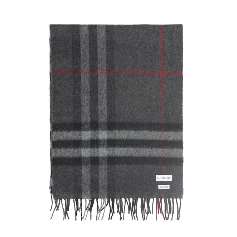 Burberry Burberry Checked Fringed Edge Scarf
