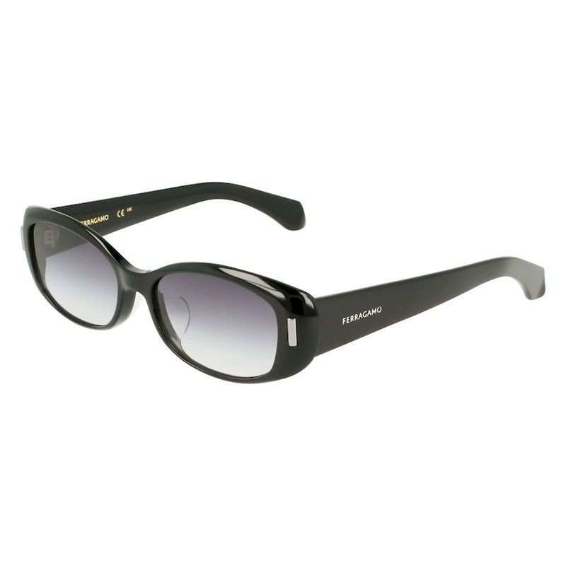 FERRAGAMO Oval Sunglasses Women's Classic Black, White