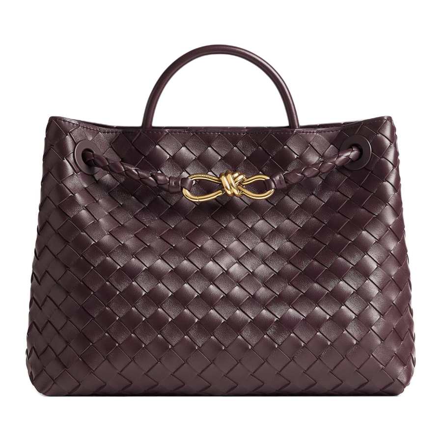 Bottega Veneta Andiamo Lambskin Crossbody Handbag Women's Dark Burgundy