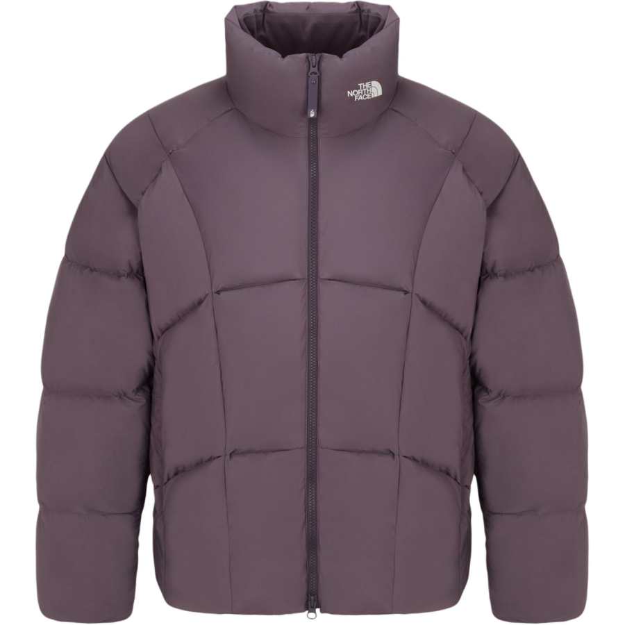 THE NORTH FACE THE NORTH FACE Down Jacket Men's