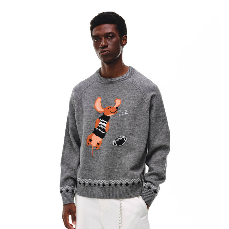 FPA Sweaters Unisex Crew Neck Moderate Base Layer