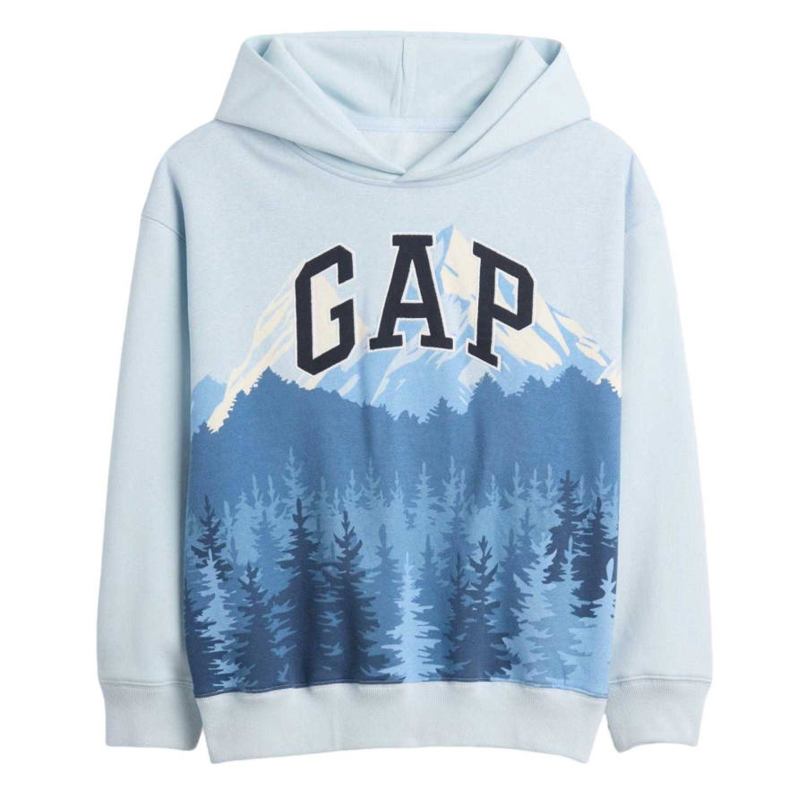 GAP Kids Sweatshirts Hooded Moderate