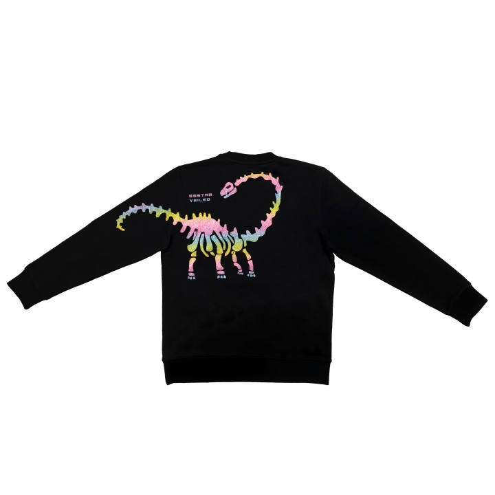 Nike Nike Sweatshirts Unisex Black Crew Neck Moderate Regular