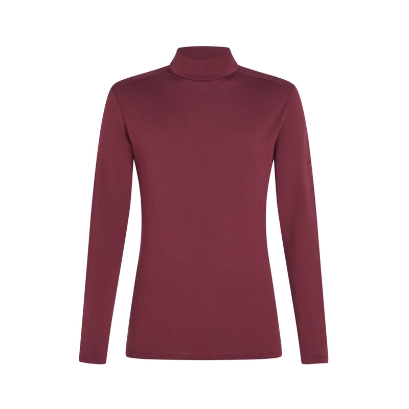 ICEBREAKER T Shirts Men's Turtleneck Moderate