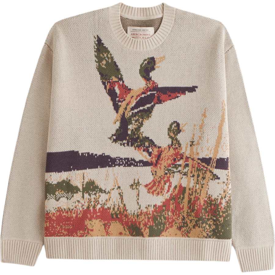 Abercrombie&Fitch Sweater Men's