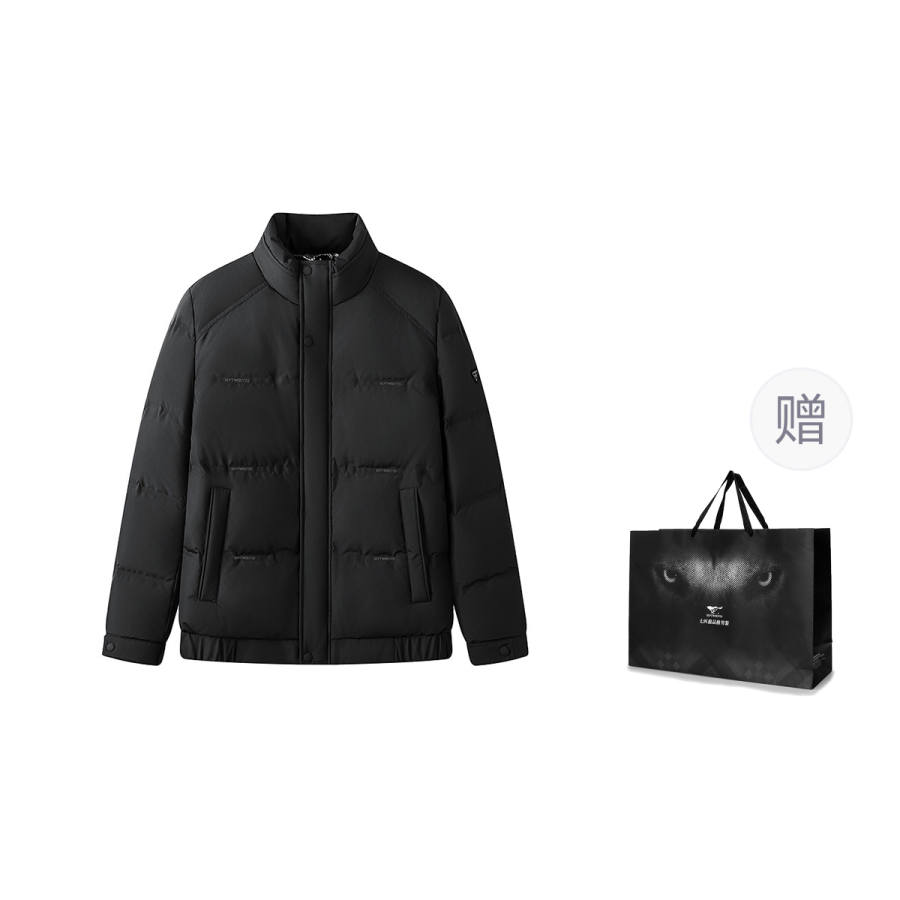 SEPTWOLVES SEPTWOLVES Down Jackets Men's Stand Collar Thickened