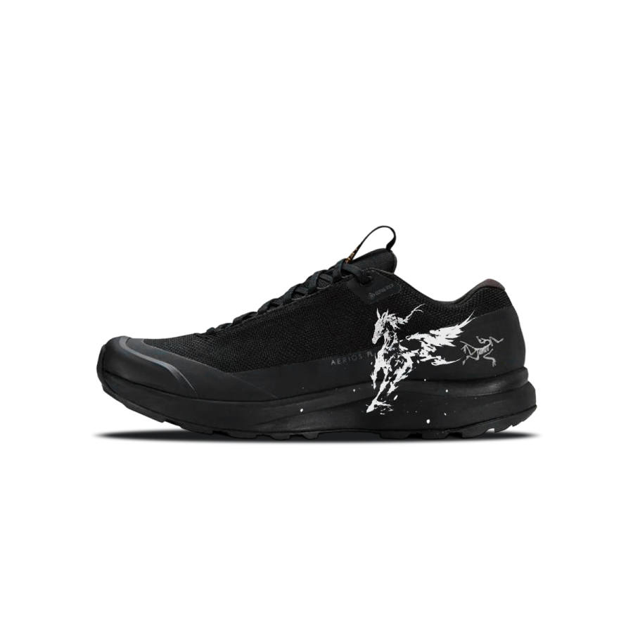 Arcteryx Arc'teryx AERIOS FL GTX Low top Running Shoes Men's Black Gold