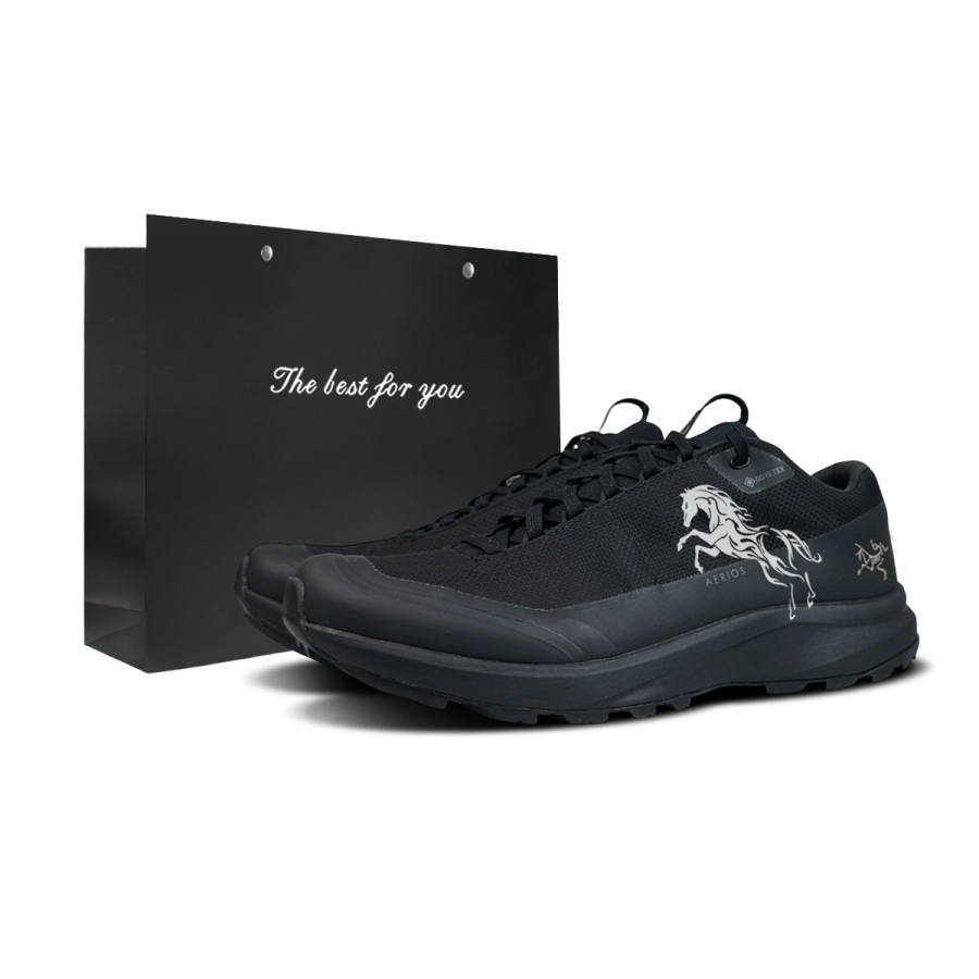 Arcteryx Arc'teryx Aerios Fl 2 Abrasion Resistant Abrasion Resistant Low top Outdoor Shoes Men's Black