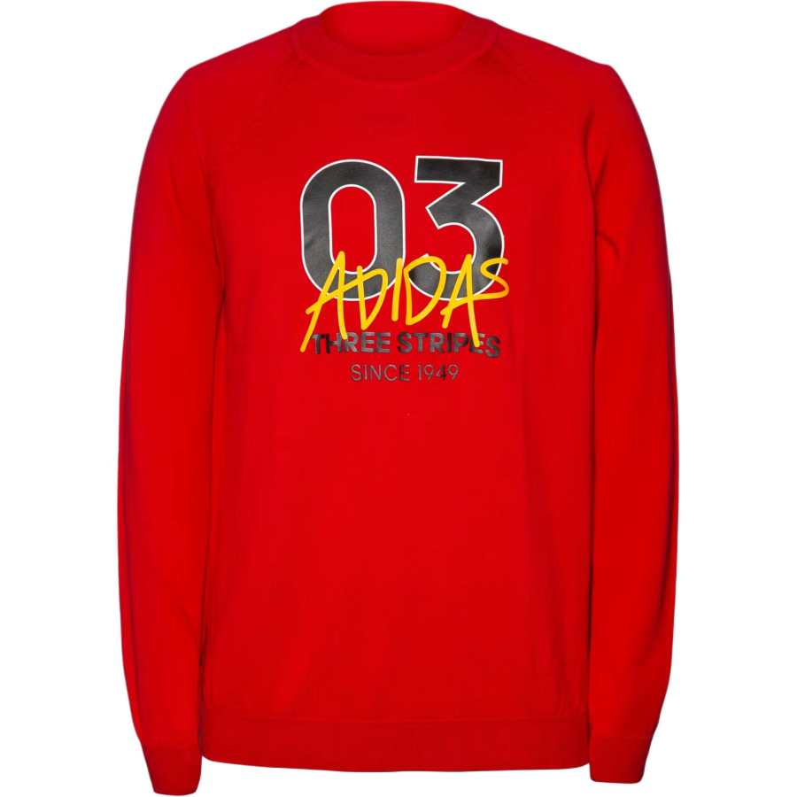 Adidas Adidas Sportswear FW25 Graphics Sweater Knitwear Men's