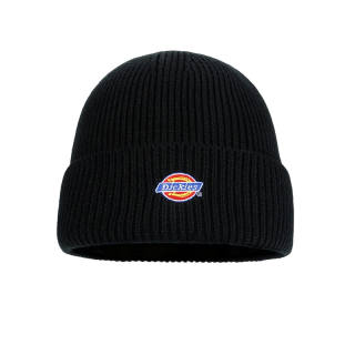 Dickies Acrylic Beanies Unisex Black