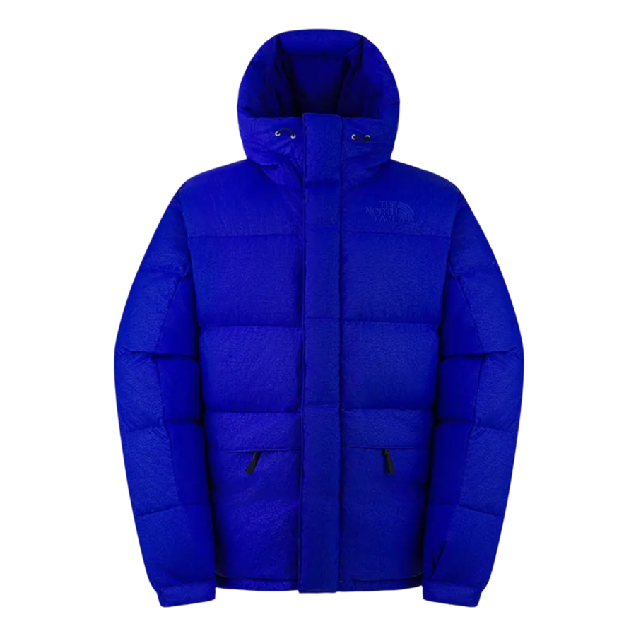 THE NORTH FACE ICON FW25 Down Jacket Men's