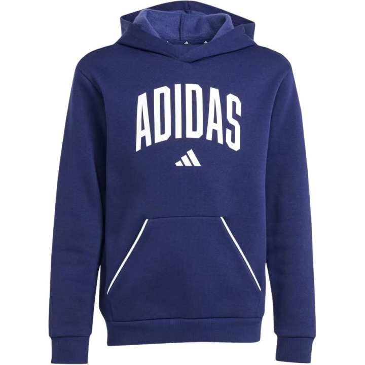 Adidas Adidas Sweatshirt Essentials Collegiate Typography Japan Version Kids'