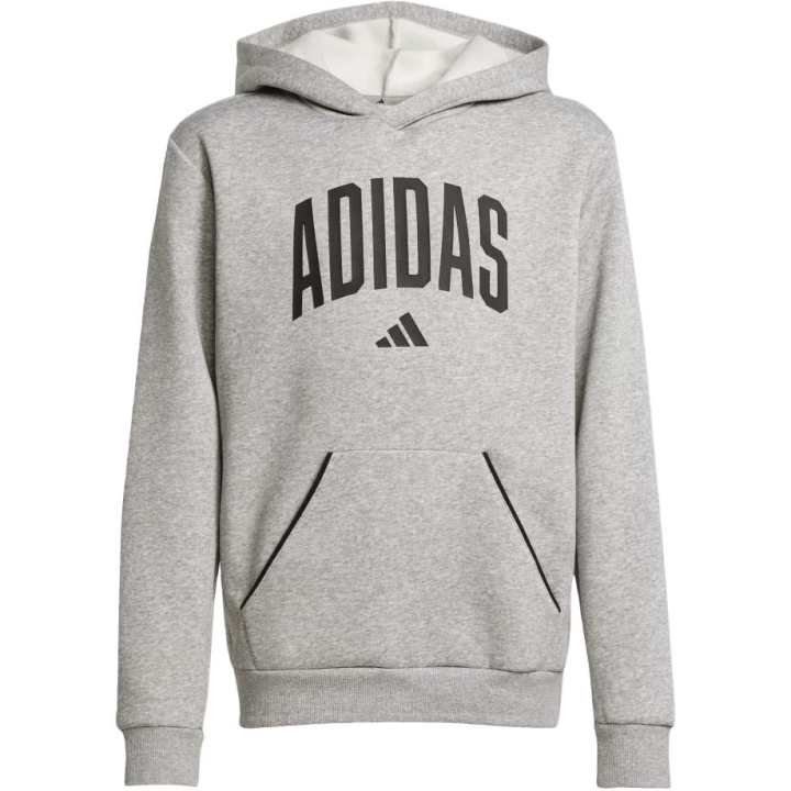 Adidas Adidas Sweatshirt Essentials Collegiate Typography Japan Version Kids'
