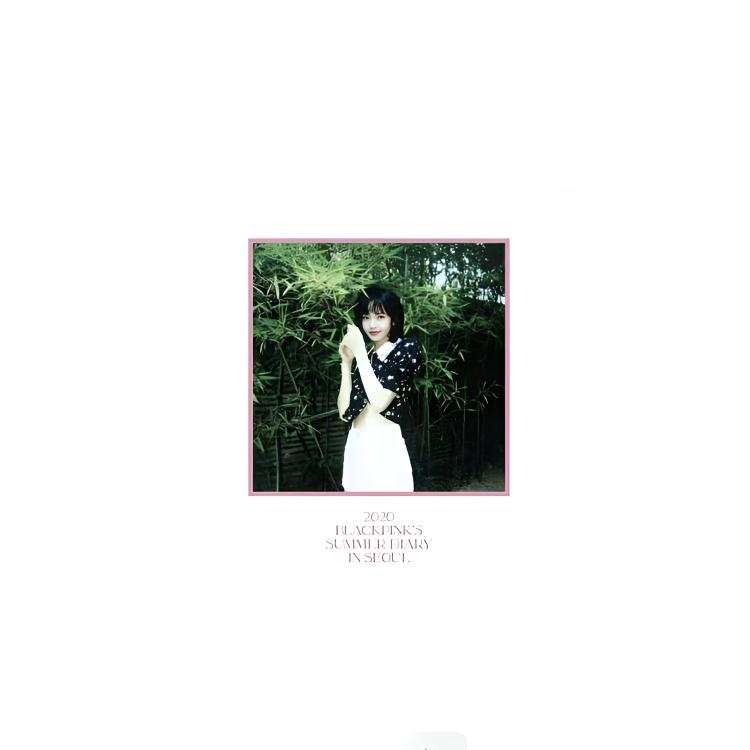 YG ENTERTAINMENT LISA Bamboo 2020 Summer Journal, Instant Cameras, Sha Ver.B Photocards 1 Pc