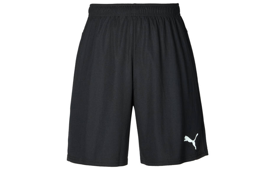 PUMA PUMA Casual Shorts Men's Black Moderate