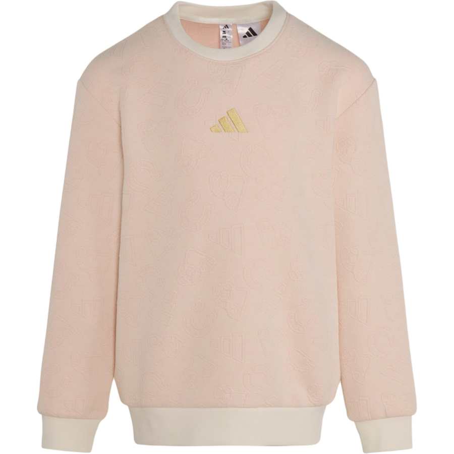 Adidas Adidas Sweatshirt FW25 SPORTSWEAR KNITTED CREW Kids'