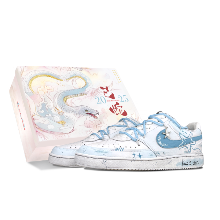 Nike Nike Court Vision 1 Skateboard Shoes Unisex Low Top White Blue