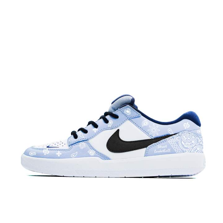 Nike Nike SB Force 58 Slip Resistant, Abrasion Resistant, Breathable Low top Skateboard Shoes Unisex Carolina Blue