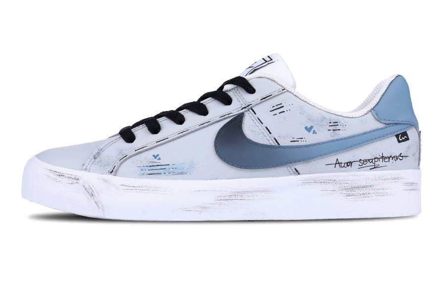 Nike Nike Court Royale AC Low top Skateboard Shoes Unisex Blue Gray
