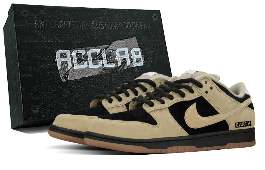 Nike Nike Dunk SB Abrasion Resistant Low top Skateboard Shoes Unisex Black Brown