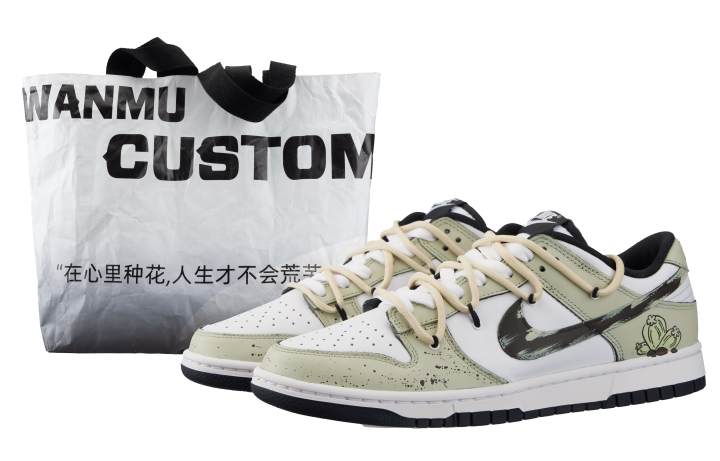 Nike Nike Dunk Desert Light Low top Skateboard Shoes Men's White Green