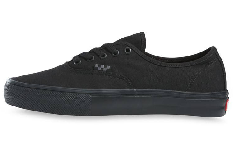 Vans Authentic Skate Vans 'Triple Black'