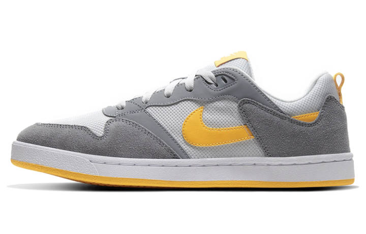 Nike Nike Sb Alleyoop Particle Grey University Gold