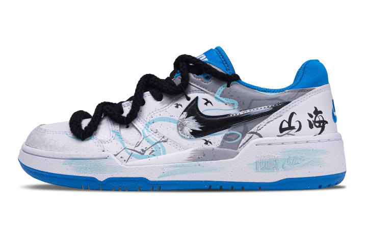 Nike Nike Full Force Skateboard Shoes Men's Low Top White Blue Black Colorway