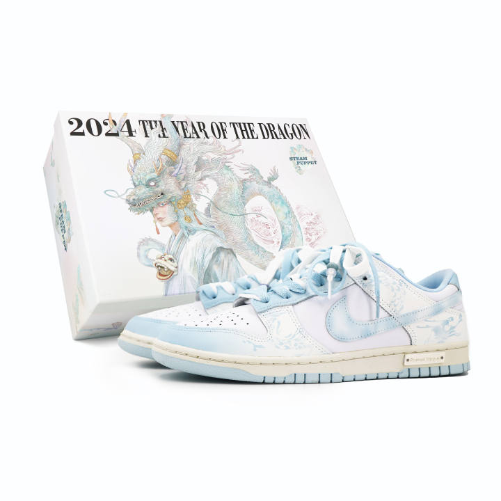 Nike Nike Dunk Low top Skateboard Shoes Men's White Blue