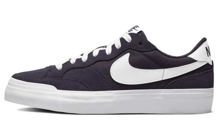 Nike Nike Sb Zoom Pogo Cave Purple Women's