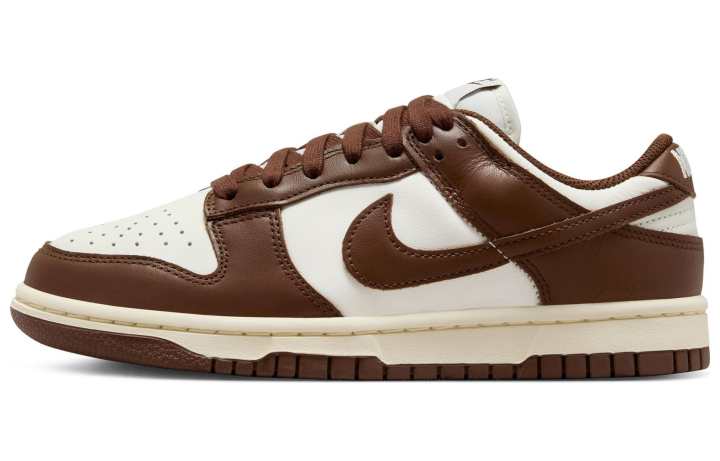 Nike Nike Dunk 'Surfaces In Brown And Sail' Chocolates Synthetic Leather Comfortable