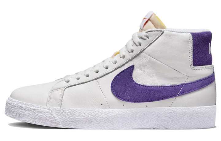 Nike Nike Sb Blazer Mid Court Purple