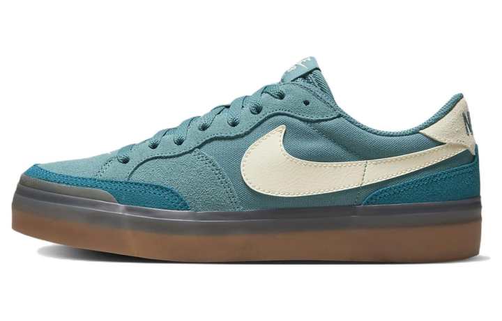 Nike Nike Sb Zoom Pogo Plus Noise Aqua Women's