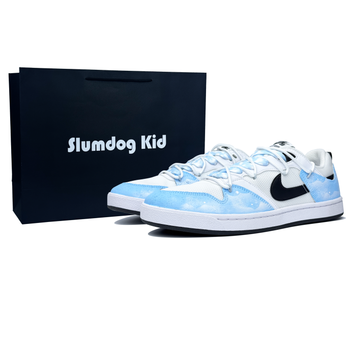 Nike Nike SB Alleyoop Slip Resistant Abrasion Resistant Low top Skateboard Shoes Men's White Blue