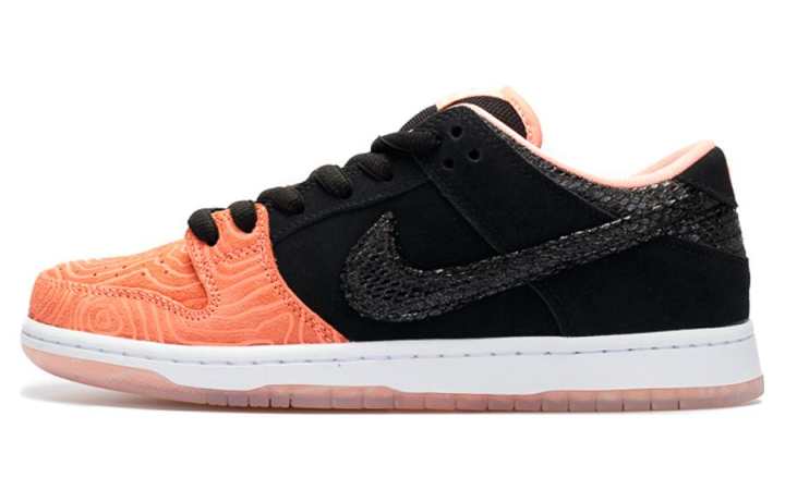 Nike Nike SB Dunk Low Premier Fish Ladder