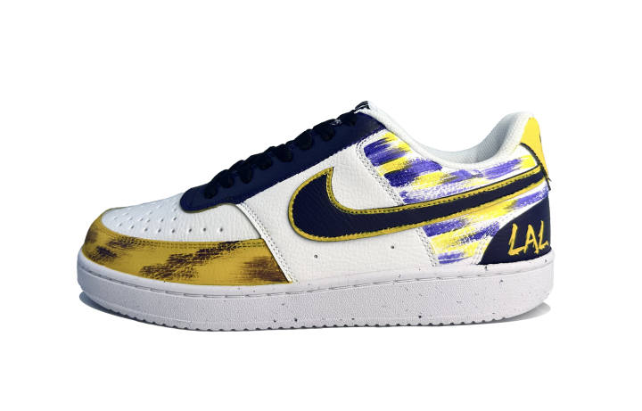 Nike Nike Court Vision 1 Abrasion Resistant Low top Skateboard Shoes Men's Purple Blue