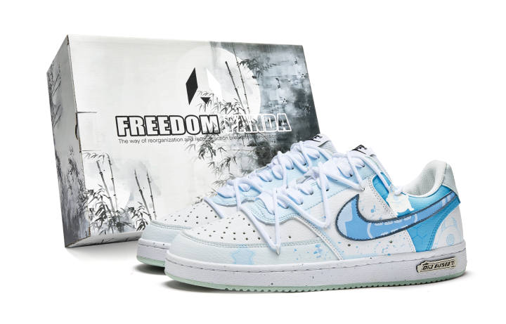 Nike Nike Court Vision 1 Free Panda, Box, Blue Red Eye Slip Resistant Low top Skateboard Shoes Men's Blue White