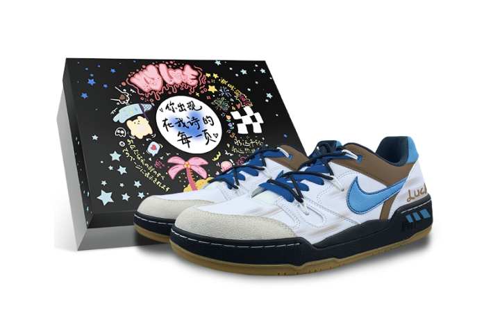 Nike Nike Full Force Low top Skateboard Shoes Men's White Blue Brown