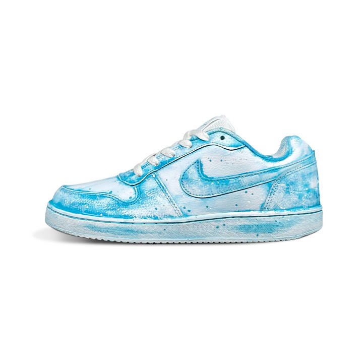 Nike Nike EBERNON Skateboard Shoes Men's Low Top White/Blue