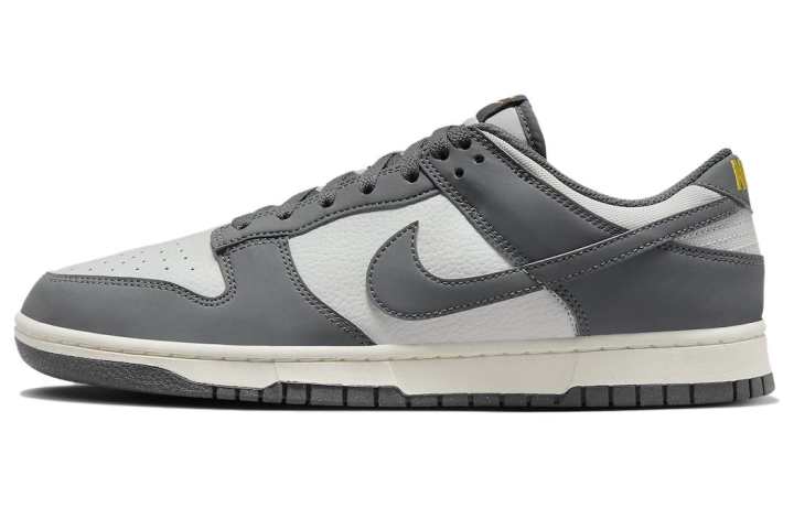Nike Nike Dunk Low Next Nature Iron Grey