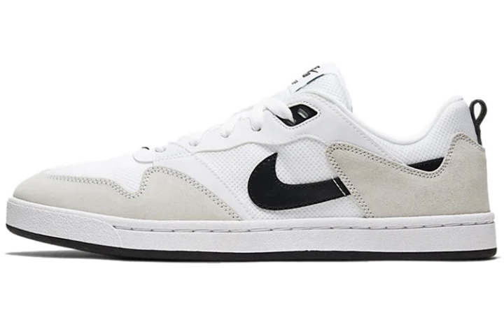 Nike Nike Sb Alleyoop White