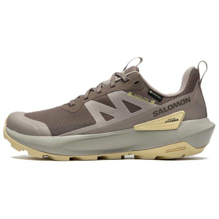 SALOMON Elixir Low top Hiking Shoes Women's Brown
