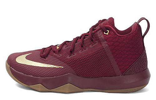 Nike Nike Ambassador Ix 'Night Maroon Brwon'