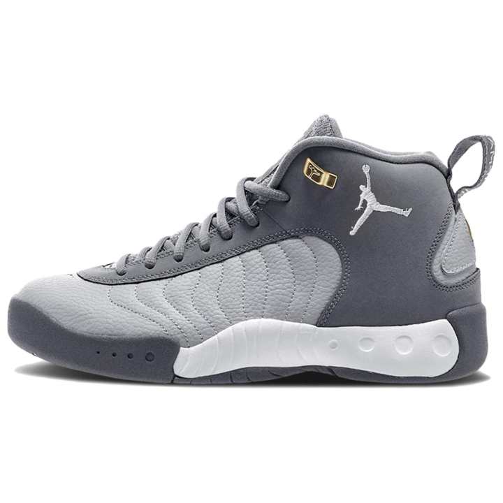 Jordan Air Jordan Jumpman Pro 'Cool Grey'