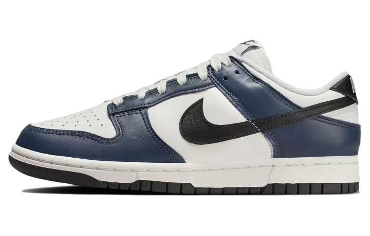 Nike Nike Dunk Low top Skateboard Shoes Women's White Blue