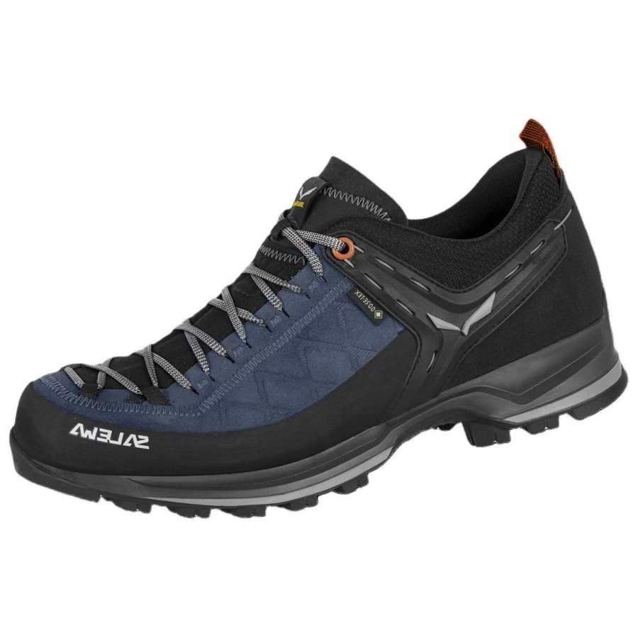 SALEWA MOUNTAIN TRAINER 2 GORE TEX® Slip Resistant Abrasion Resistant Slip Resistant Abrasion Resistant Low top