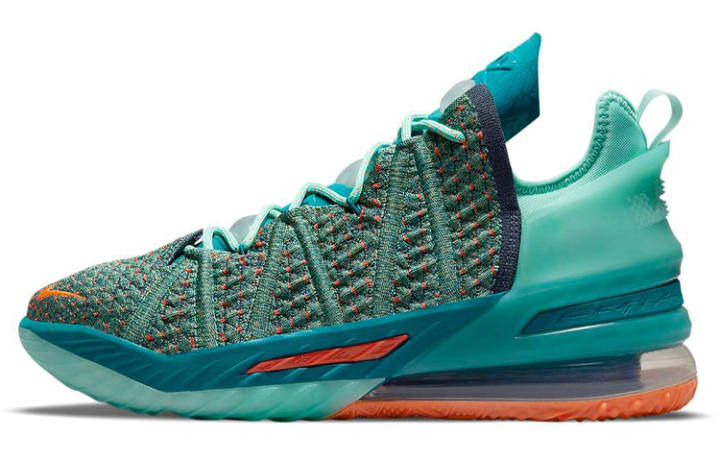 Nike Nike LeBron 18 We Are Family