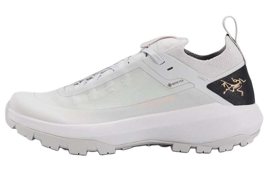 Arcteryx Arc'teryx VERTEX Fabric Low top Mountaineering & Hiking Shoes Women's Gray