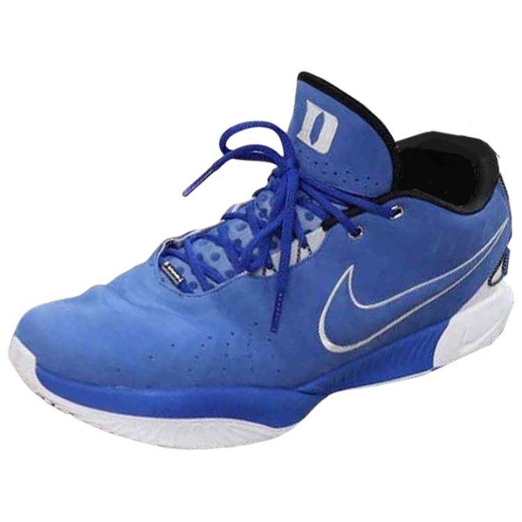 Nike Nike Lebron 21 Cushioning Slip Resistant Abrasion Resistant Low top Basketball Shoes Men's Blue